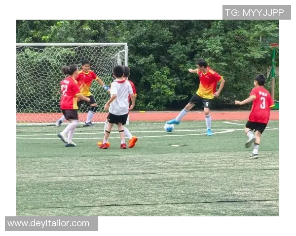 武汉足球队的节奏与发展探讨聚焦于城市足球文化的崛起与未来 武汉足球队的节奏与发展探讨聚焦于城市足球文化的崛起与未来